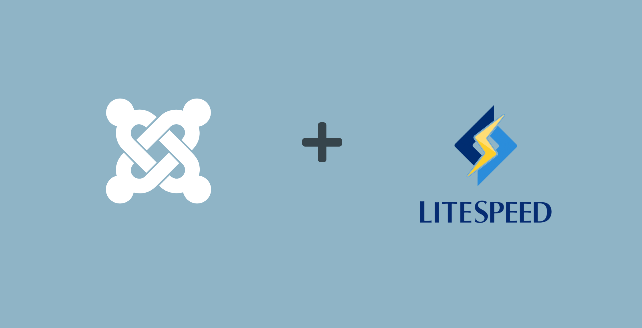 Joomla and LiteSpeed Cache